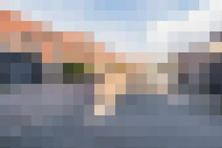 Vlasven 34 Veghel thumbnail 31