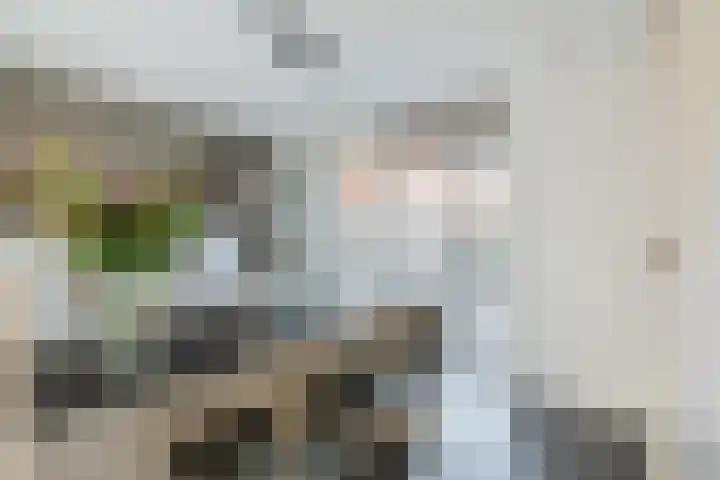 Vlasven 34 Veghel thumbnail 5