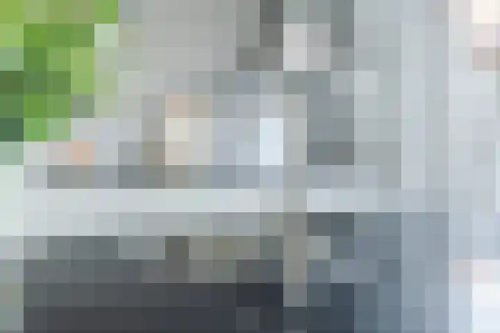 Vlasven 34 Veghel thumbnail 9