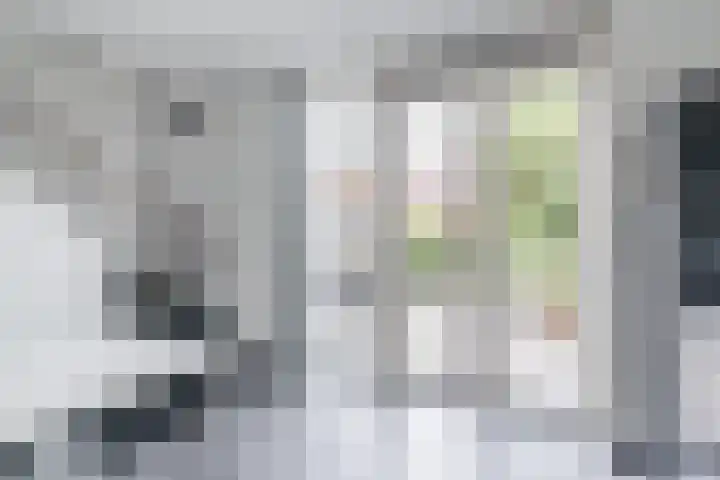 Vlasven 42 Veghel thumbnail 10