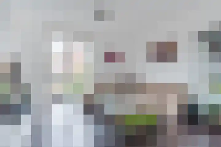 Vlasven 42 Veghel thumbnail 12