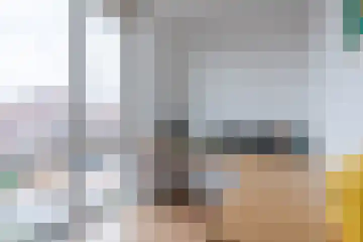 Vlasven 42 Veghel thumbnail 23