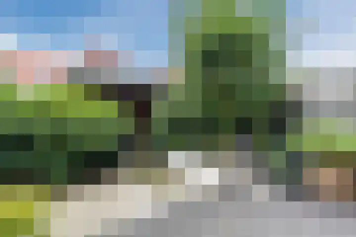 Vlasven 42 Veghel thumbnail 27