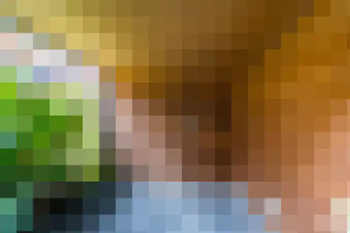 Vlasven 42 Veghel thumbnail 28