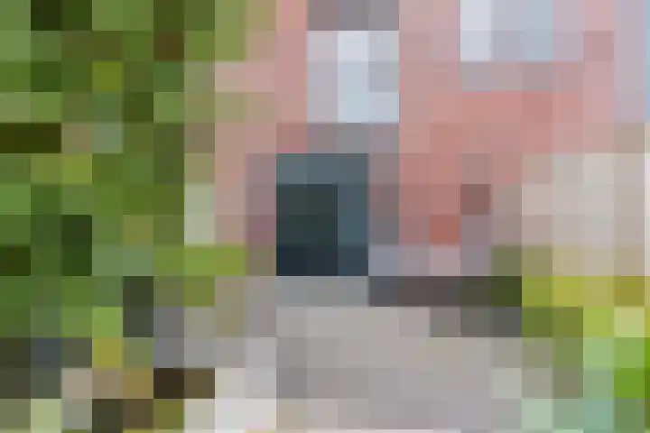 Vlasven 42 Veghel thumbnail 29