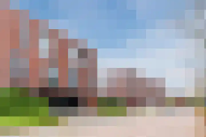 Vlasven 42 Veghel foto 3