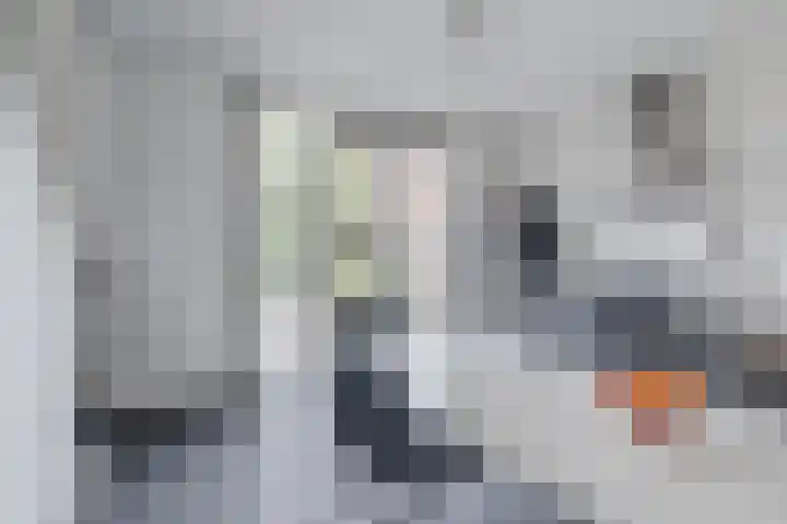 Vlasven 42 Veghel thumbnail 5