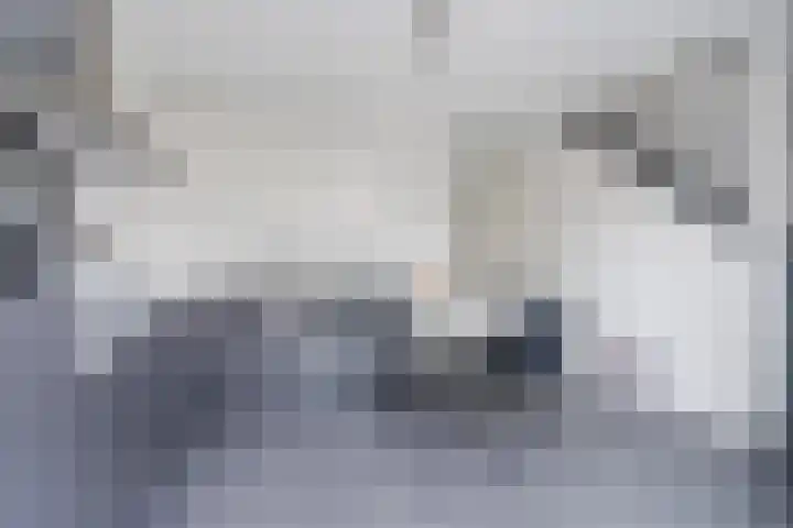 Vlasven 42 Veghel thumbnail 8