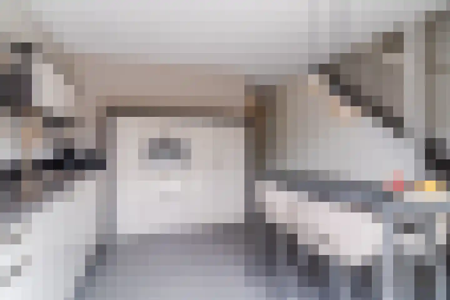 Vlasven 44 Veghel thumbnail 13
