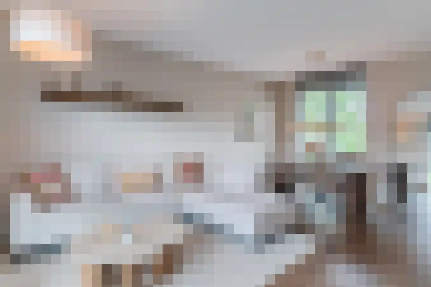 Vlasven 44 Veghel thumbnail 14