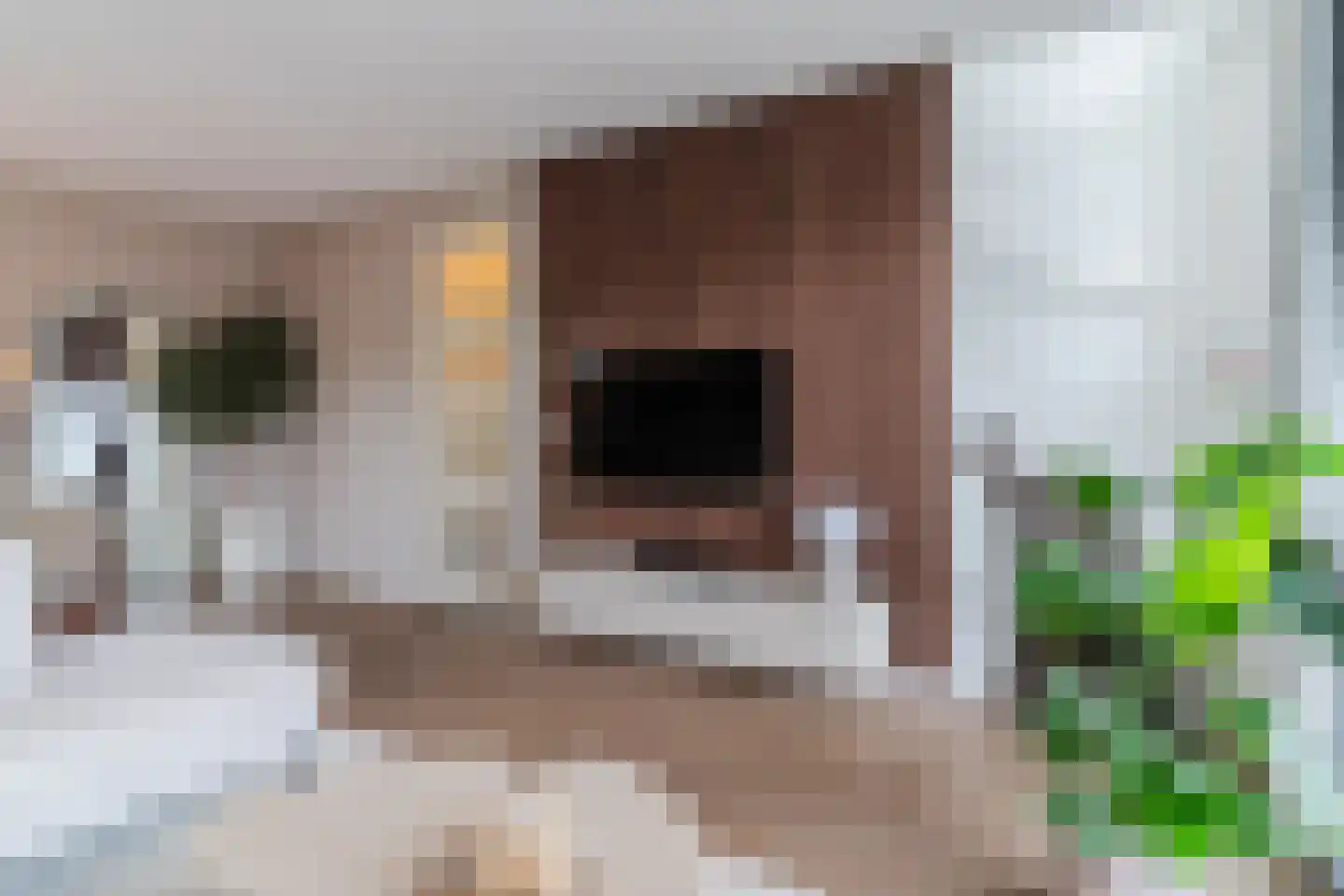 Vlasven 44 Veghel thumbnail 23