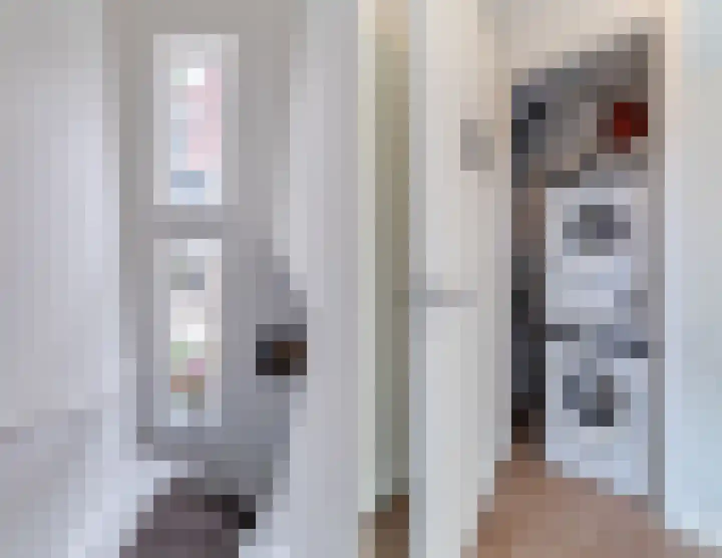 Vlasven 44 Veghel thumbnail 25