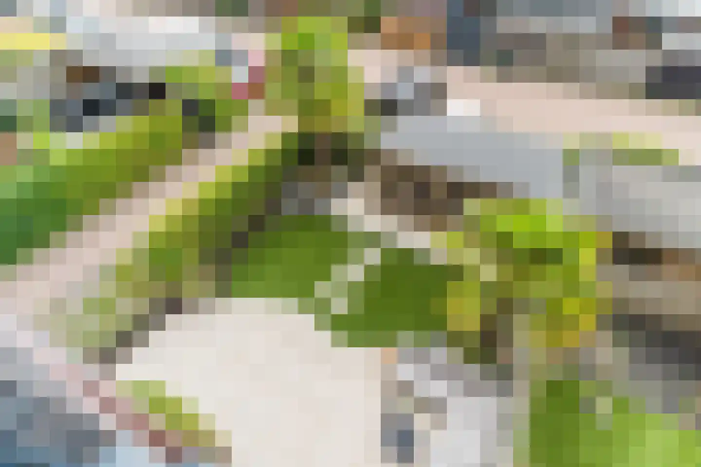 Vlasven 44 Veghel thumbnail 36