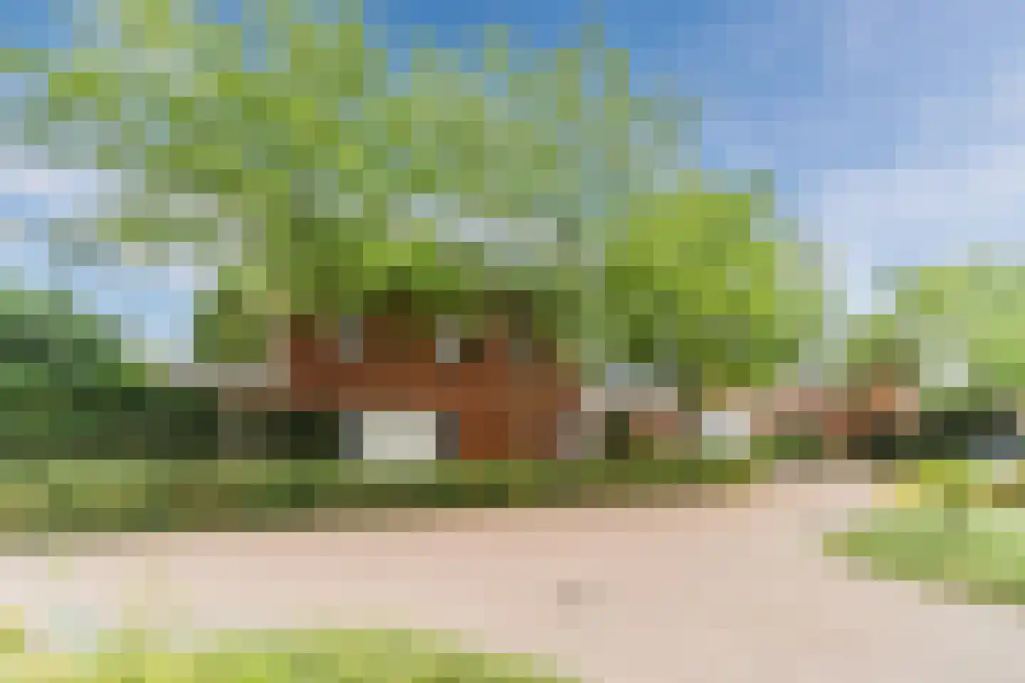 Vlasven 44 Veghel thumbnail 46