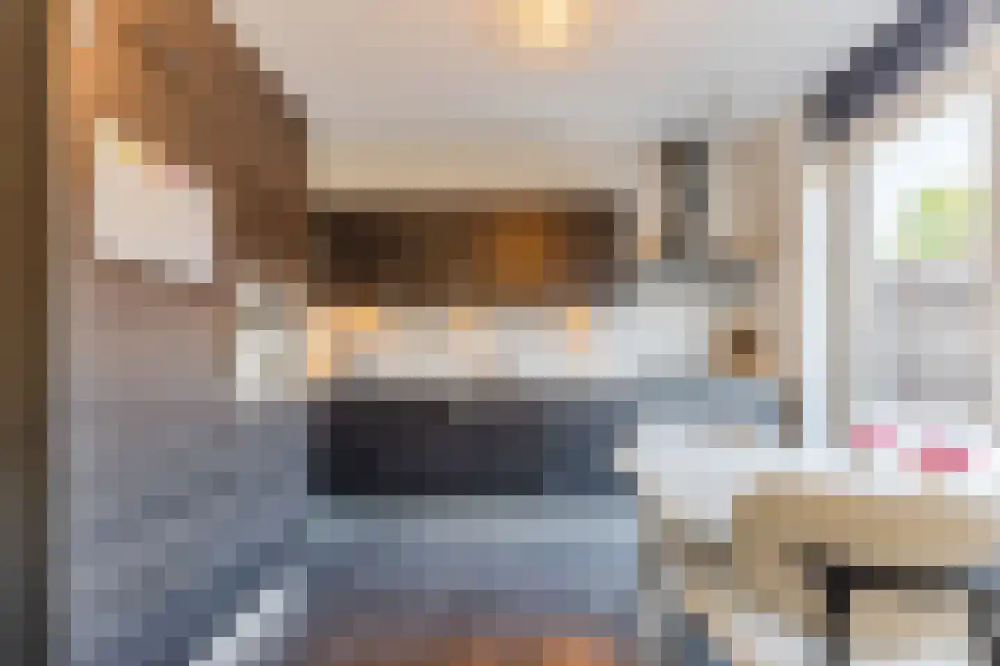 Vlasven 45 Veghel thumbnail 12
