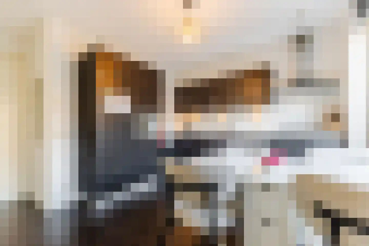 Vlasven 45 Veghel thumbnail 13