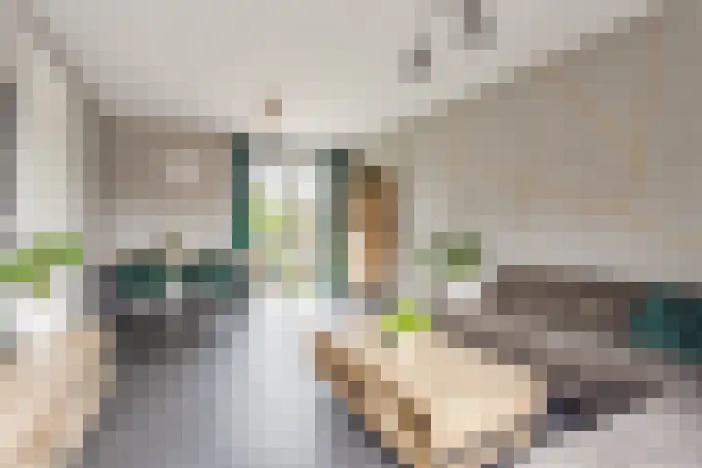 Vlasven 52 Veghel thumbnail 14