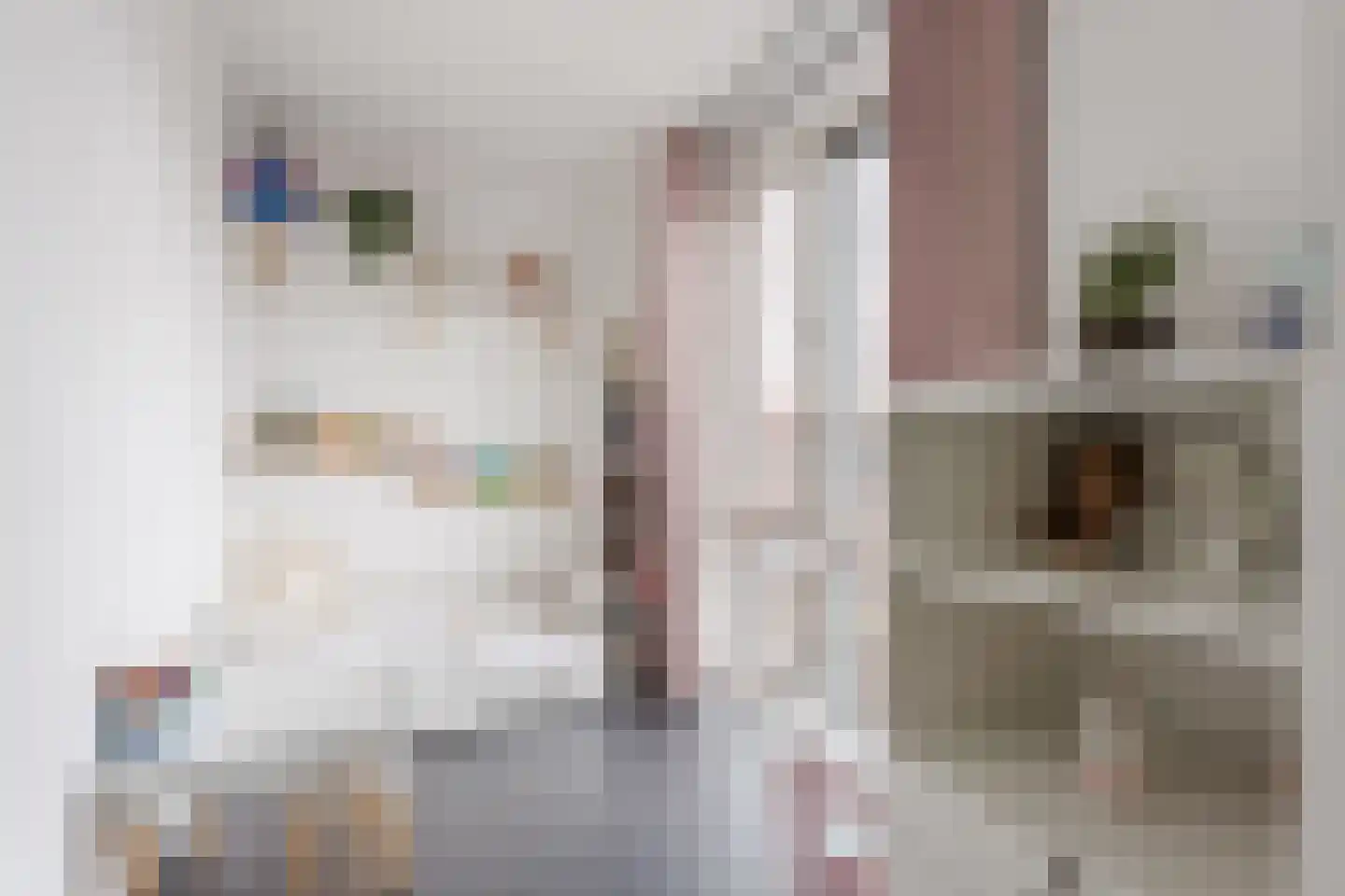 Vlasven 52 Veghel thumbnail 20