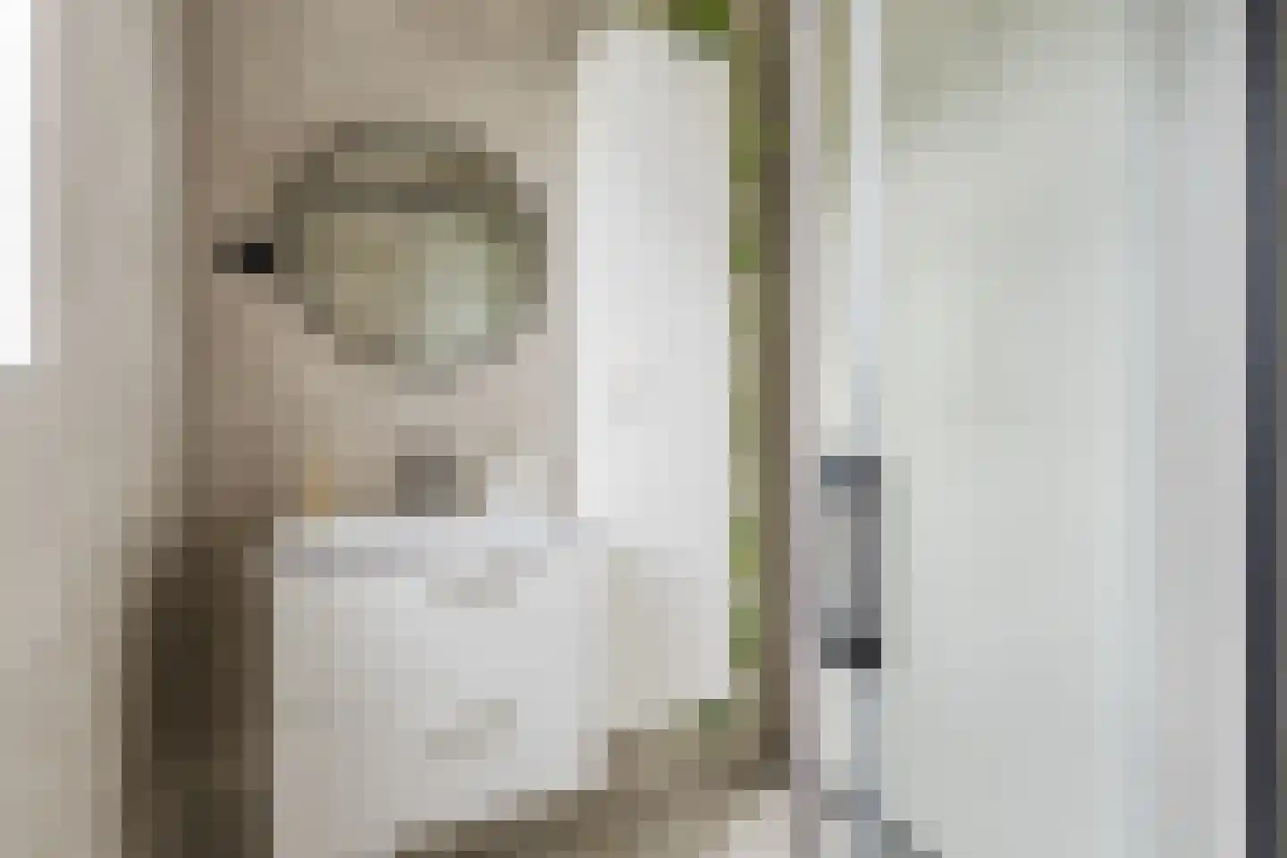Vlasven 52 Veghel thumbnail 26