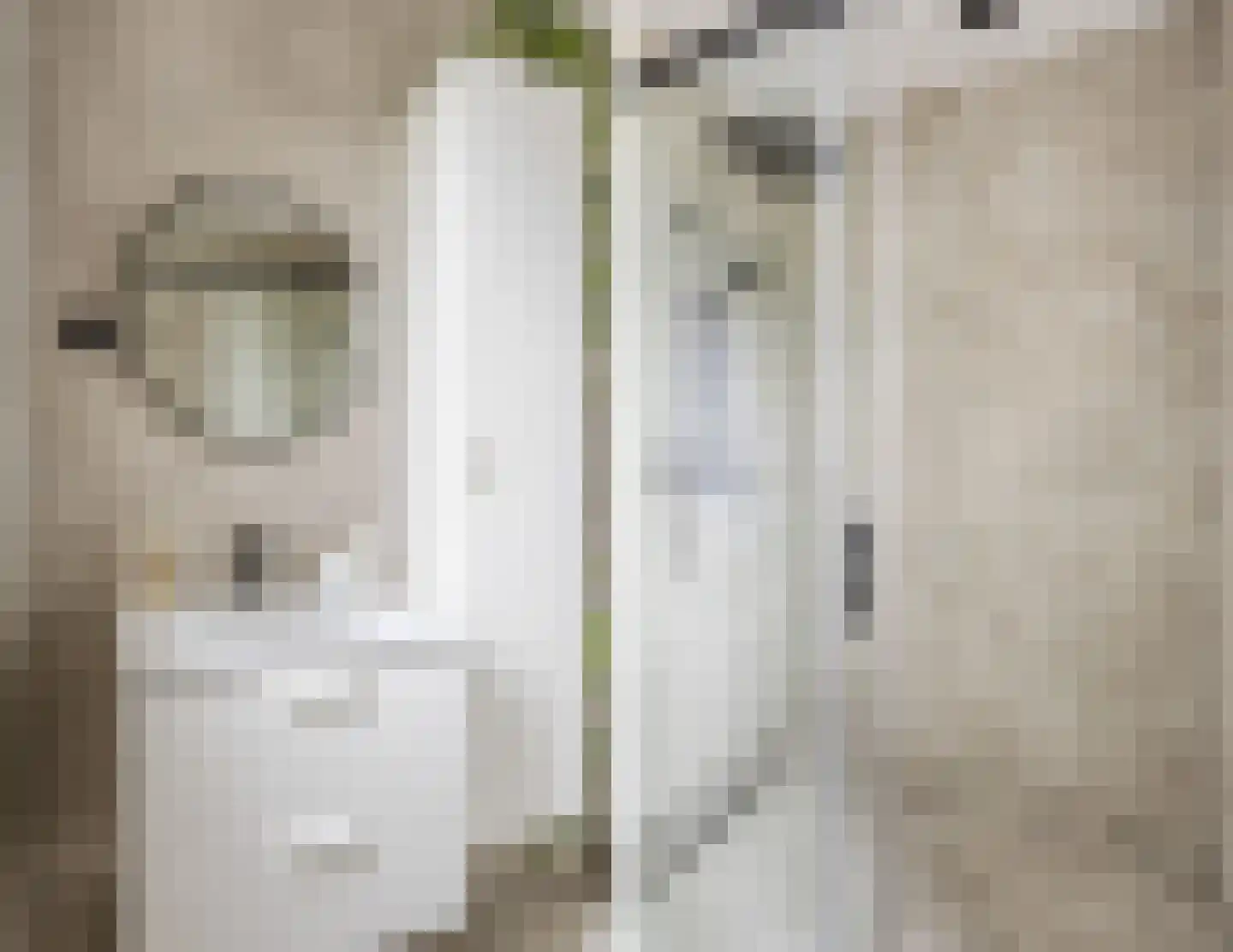 Vlasven 52 Veghel thumbnail 27