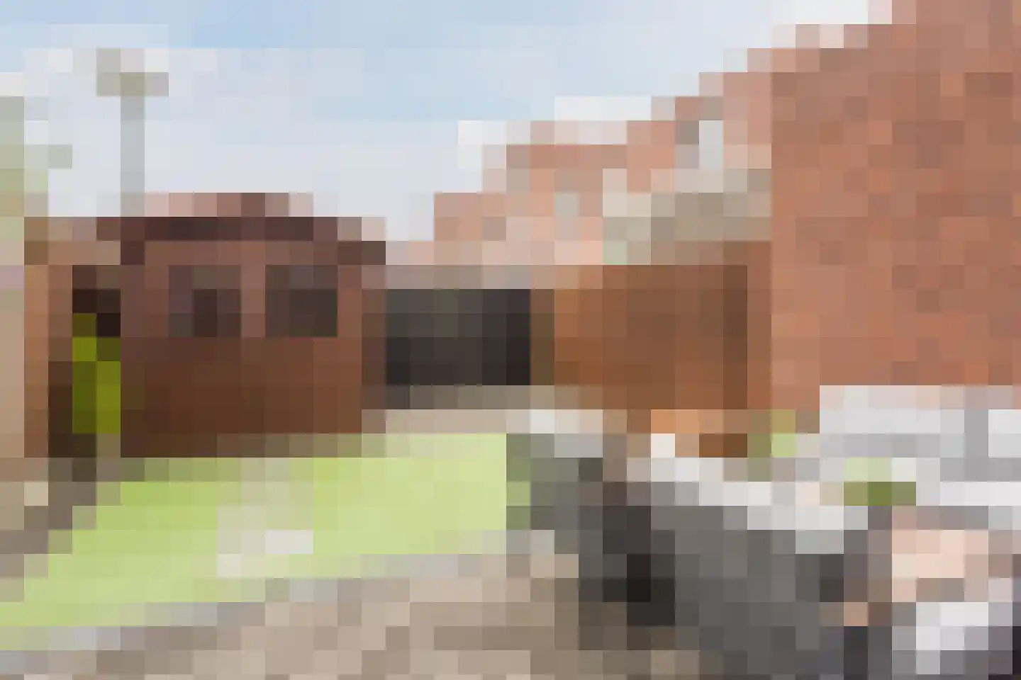 Vlasven 52 Veghel thumbnail 28