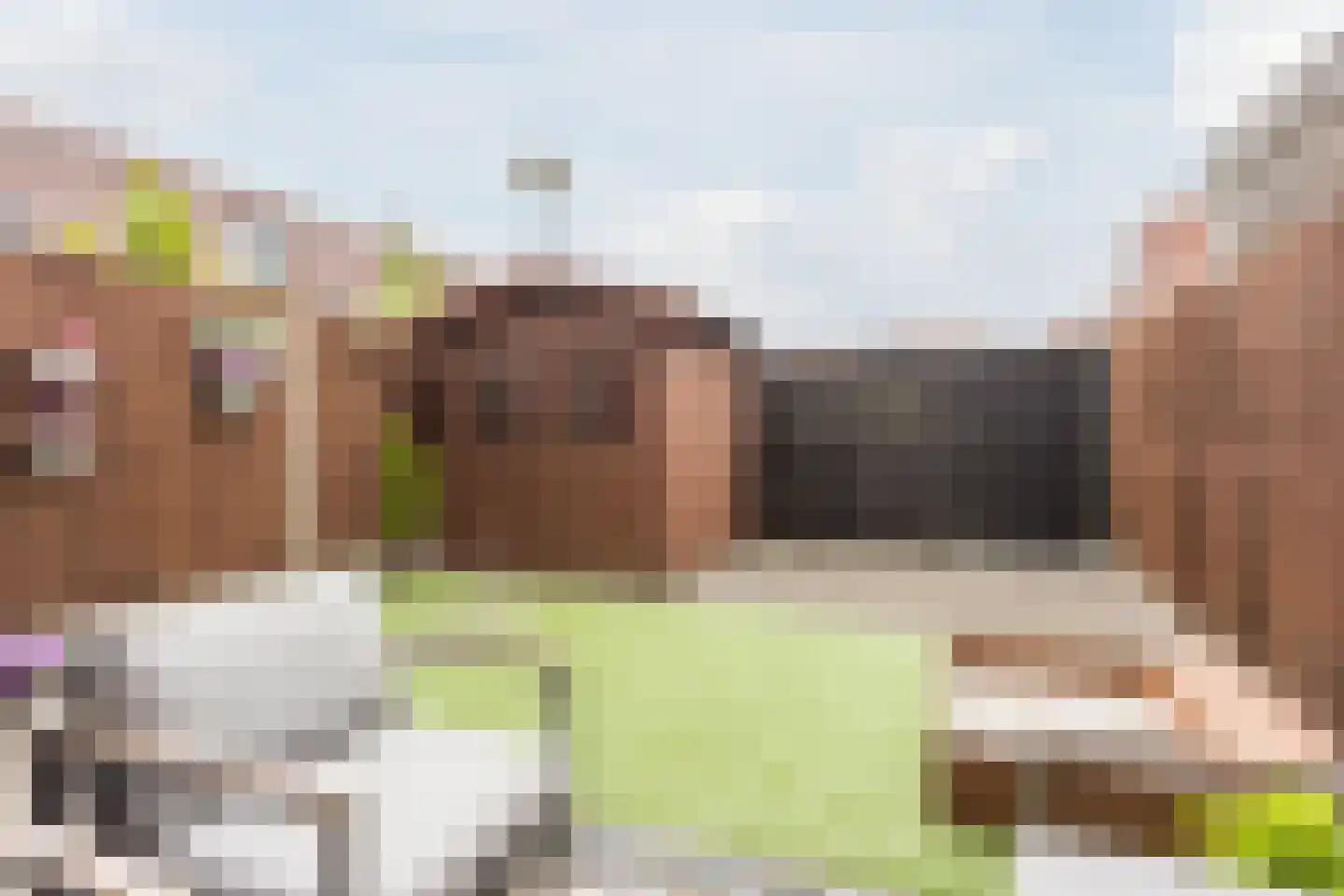 Vlasven 52 Veghel thumbnail 30