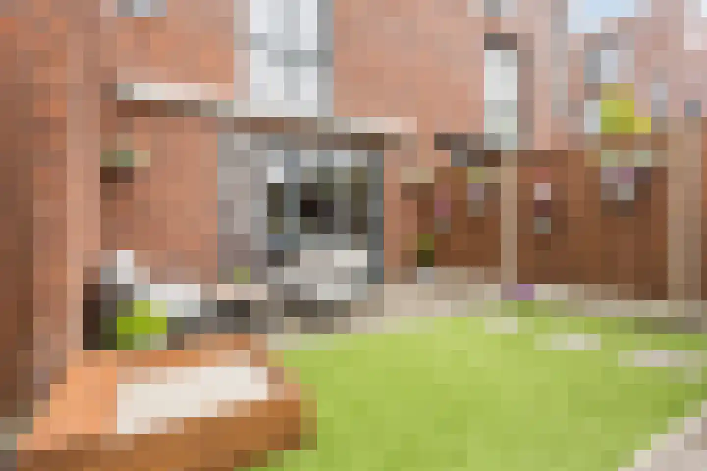 Vlasven 52 Veghel thumbnail 31