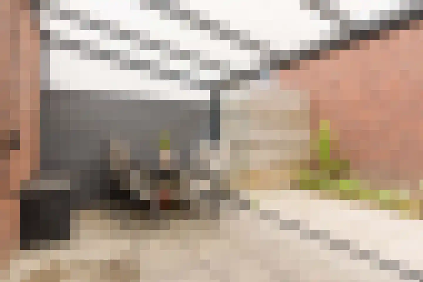 Vlasven 55 Veghel thumbnail 12