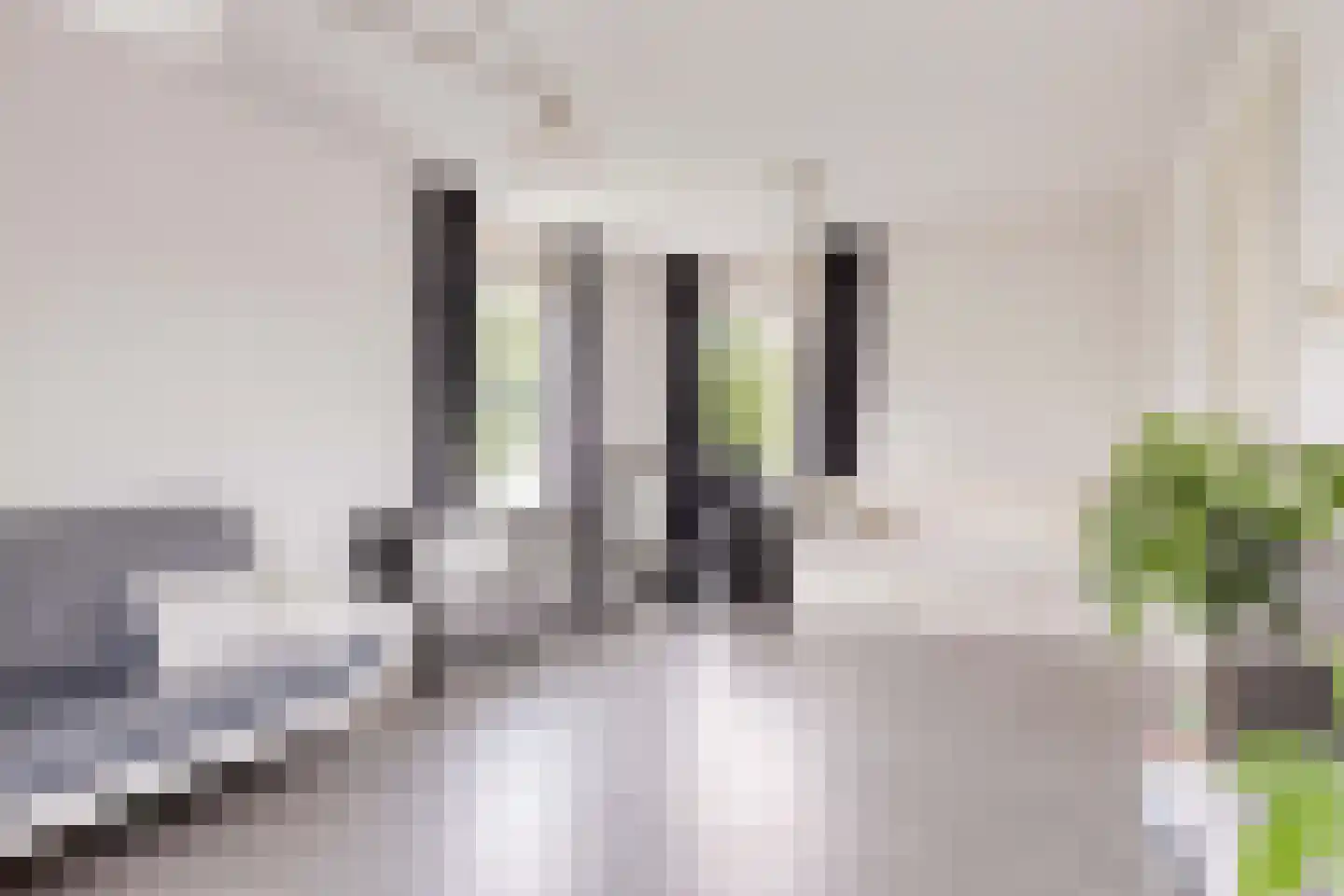 Vlasven 55 Veghel thumbnail 19