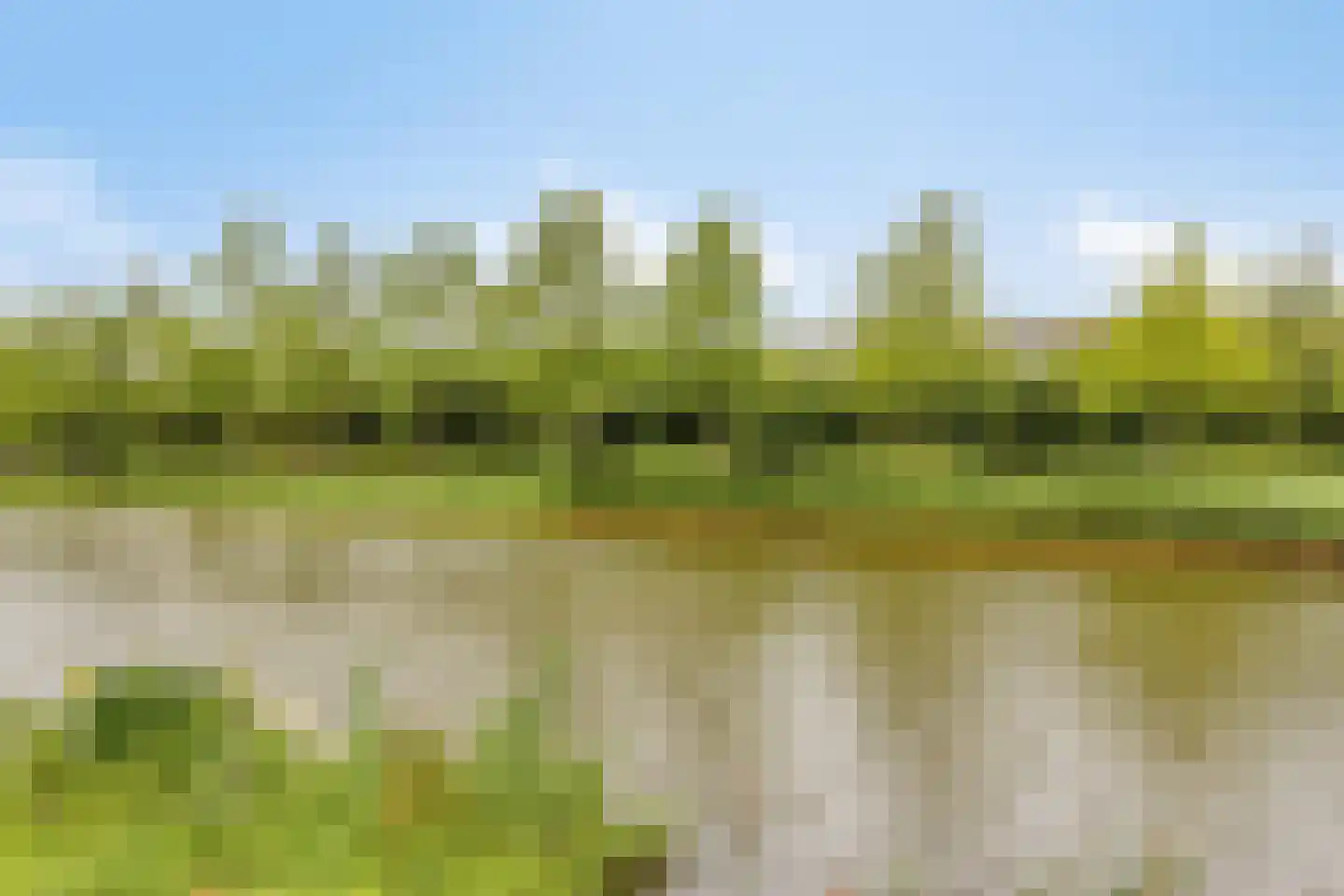 Vlasven 55 Veghel thumbnail 31