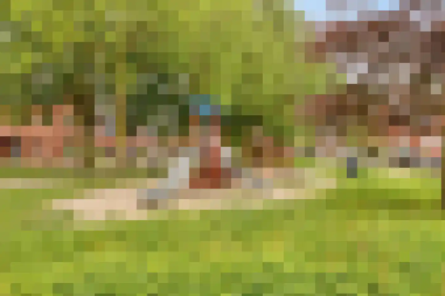 Vlasven 55 Veghel thumbnail 32