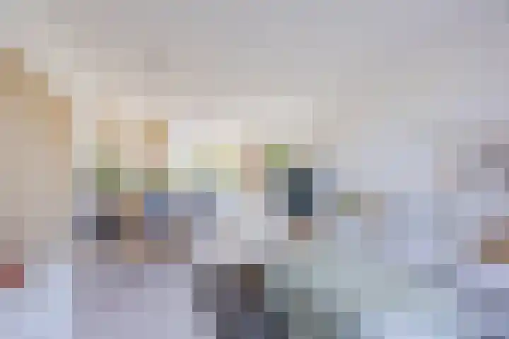 Vlasven 6 Veghel thumbnail 11