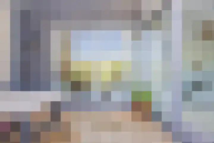 Vlasven 6 Veghel thumbnail 16