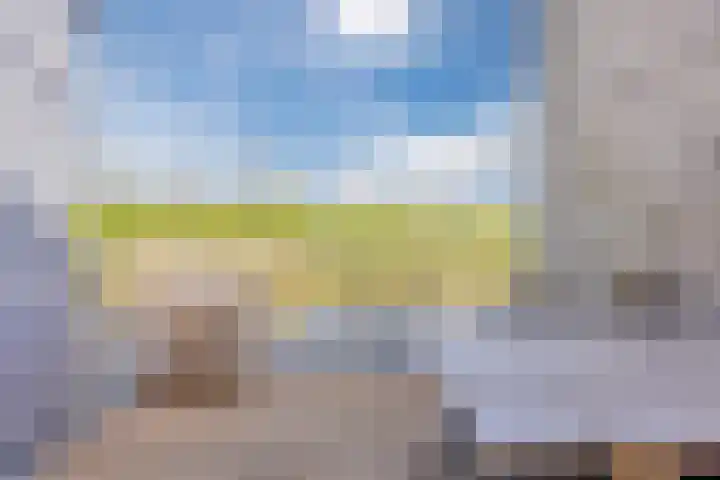 Vlasven 6 Veghel thumbnail 17
