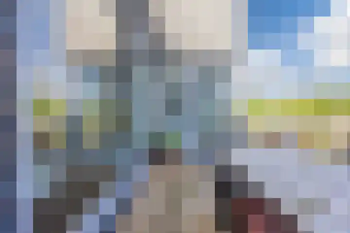 Vlasven 6 Veghel thumbnail 18