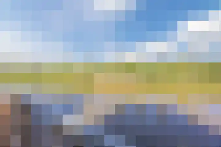 Vlasven 6 Veghel thumbnail 20