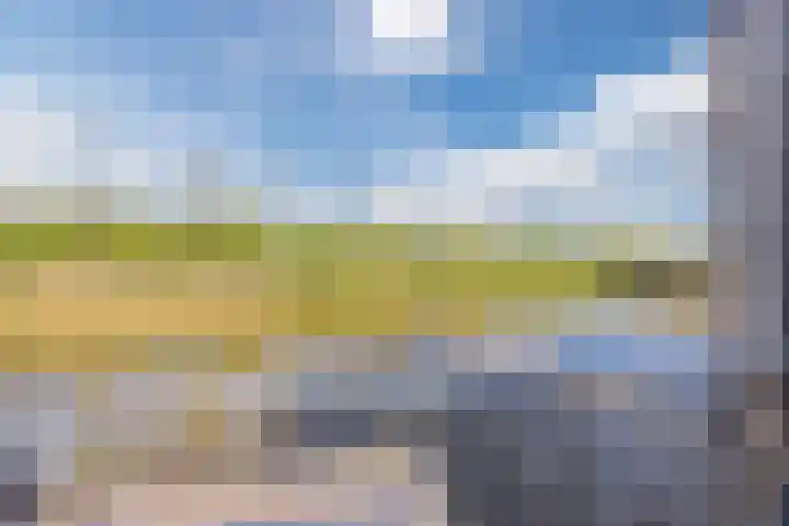 Vlasven 6 Veghel thumbnail 21
