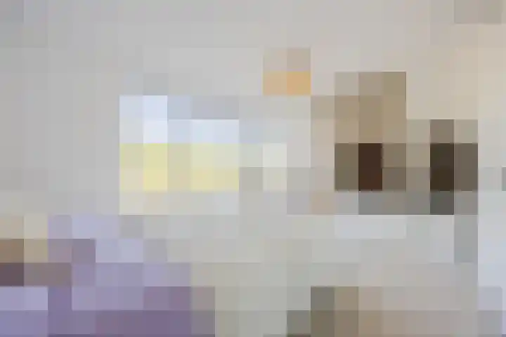 Vlasven 6 Veghel thumbnail 28