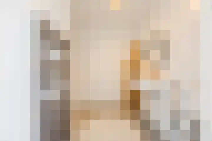 Vlasven 6 Veghel thumbnail 31