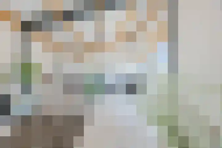 Vlasven 6 Veghel thumbnail 34
