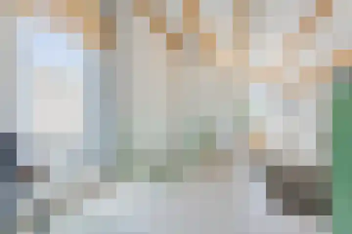 Vlasven 6 Veghel thumbnail 35