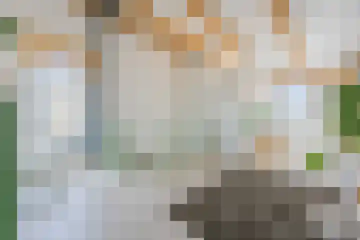 Vlasven 6 Veghel thumbnail 36