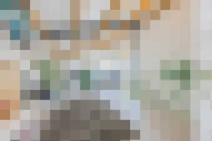 Vlasven 6 Veghel thumbnail 37