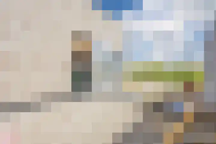 Vlasven 6 Veghel thumbnail 39