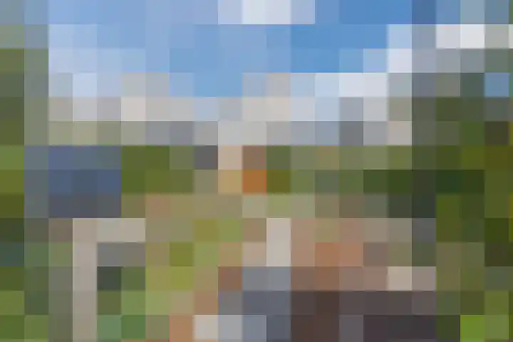 Vlasven 6 Veghel thumbnail 4