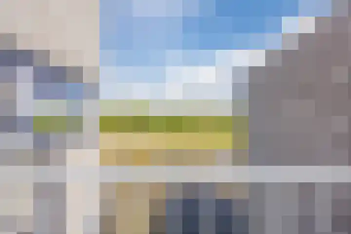 Vlasven 6 Veghel thumbnail 40