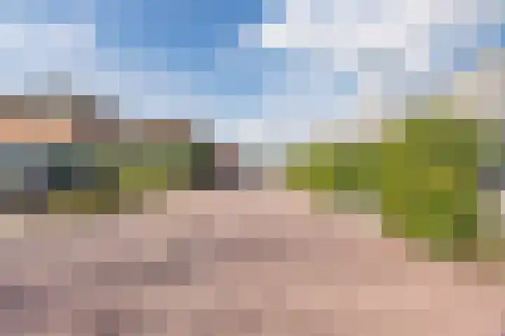 Vlasven 6 Veghel thumbnail 42