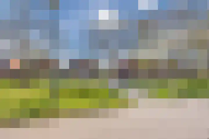 Vlasven 6 Veghel thumbnail 43
