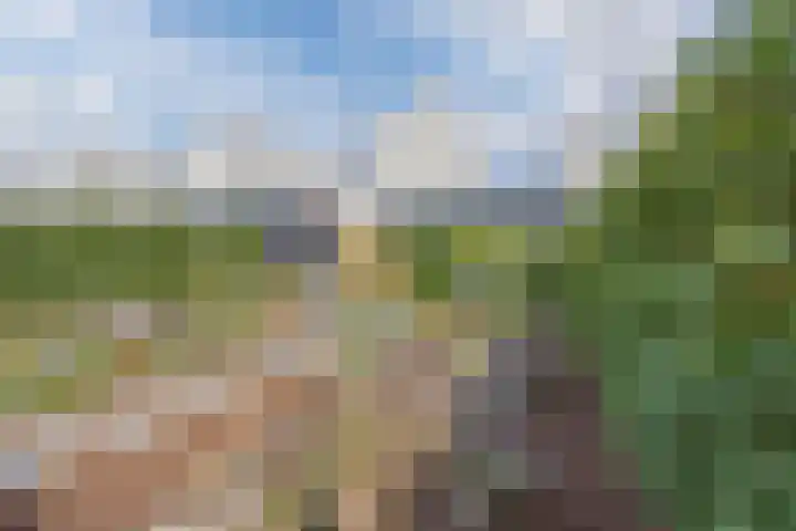 Vlasven 6 Veghel thumbnail 6