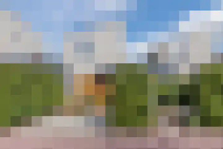 Vlasven 6 Veghel thumbnail 7